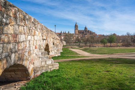 Roman Bridge and Salamanca Cathedral - Salamanca, Spainの写真素材
