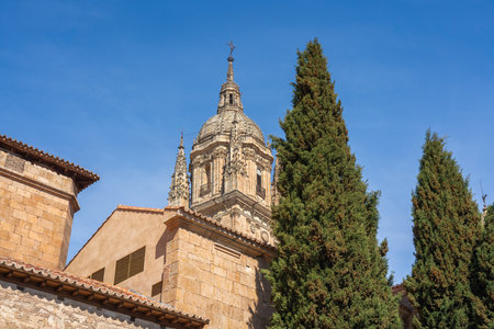 Salamanca New Cathedral Tower - Salamanca, Spainの写真素材