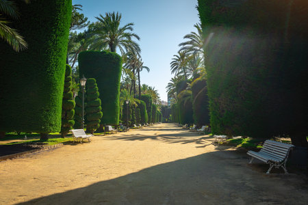 Genoese park (Parque Genoves) - Cadiz, Andalusia, Spainの写真素材
