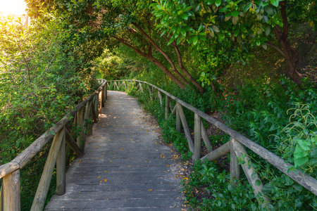 Pinsapos Garden with Spanish fir trees - Zahara de la Sierra, Andalusia, Spain