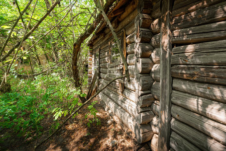 Log House Exterior - Zalissya Village, Chernobyl Exclusion Zone, Ukraineの写真素材