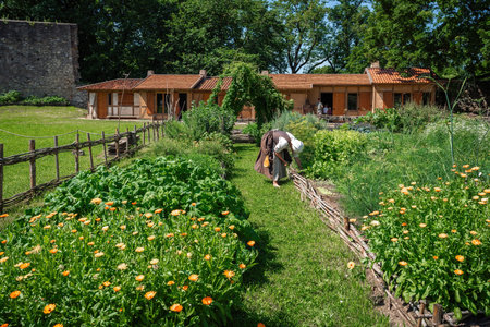 Cesis, Latvia - Jul 21, 2019: Medieval Kitchen Garden at Cesis Castle Medieval Activity Area - Cesis, Latviaのeditorial素材