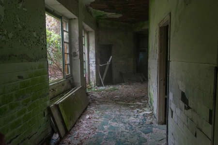 Decay corridor in old abandoned building in the wood with mold on the greens wallsの写真素材