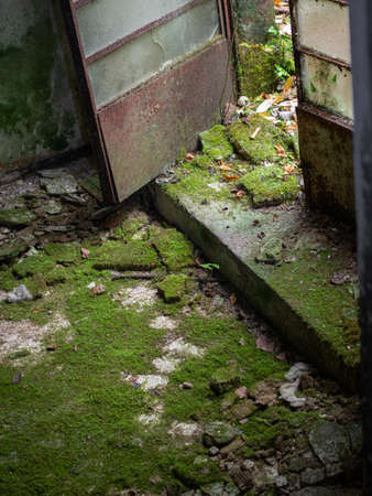 Old abandoned building floor door entrance with moss on the ground and piece of broken window glass roomの写真素材