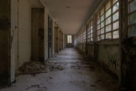 Old abandoned building house hallway with windows and broken glass and moss in the forestの写真素材