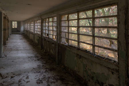 Old abandoned building house hallway with windows and broken glass and moss in the forestの写真素材