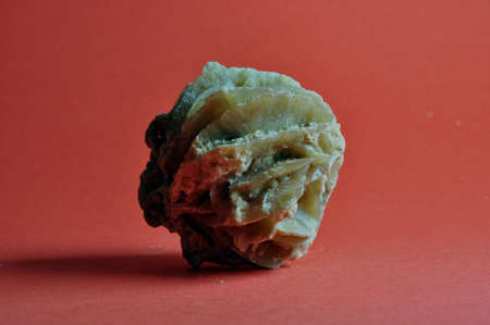 fruit of the sandの写真素材