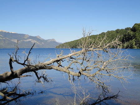 calm lakeの写真素材