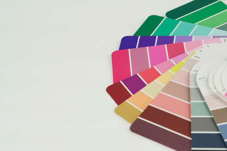Color palette with combinations in light and dark tones. Light summer colors. White background and...