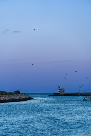 Fishing boats in the port, Ribeira de Bensafrim, Lagos, Algarve, Portugal. Seagulls follow the boat because of the fishy smell. Blue hour. Sunset.の写真素材