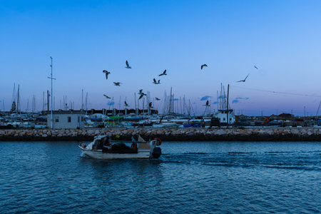 Fishing boats in the port, Ribeira de Bensafrim, Lagos, Algarve, Portugal. Seagulls follow the boat because of the fishy smell. Blue hour. Sunset.の写真素材