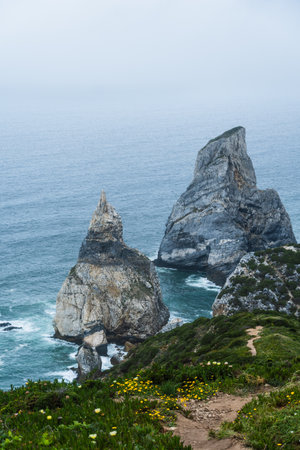 Wildflower from with the view of Praia da Ursa beach and Cabo da Roca, Sintra, Portugal. Cloudy day with fog, with mysterious weather. Atlantic Ocean coastal landscape.の写真素材