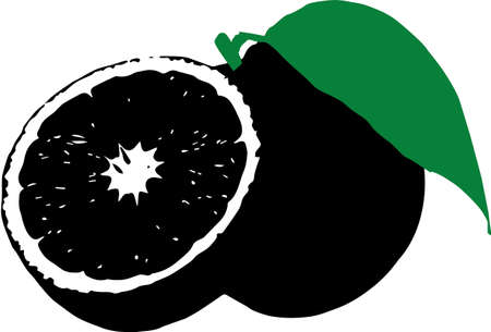 A beautiful silhouette of an orange in black tone but with a green leafのイラスト素材