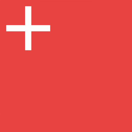 The flag of the Canton of Schwyz in Switzerlandのイラスト素材