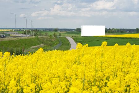 Blank white advertising billboard in the middle of the blossoming rapeseed fields near the roadの写真素材