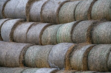 Closeup of straw rolls on a cloudy autumn dayの写真素材