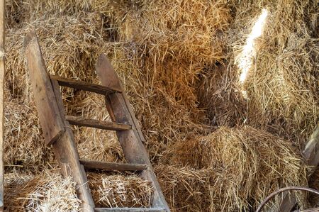 Haystack and ladder in the old barn