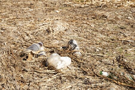 A lot of wastes at the bottom of a dry lake. Environmental pollution and drought problem.