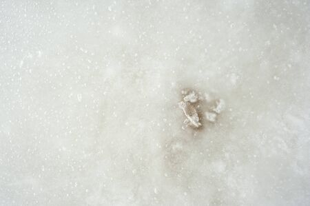 Closeup of the ice surface on a sunny day. Ice is rough with air bubbles and dentsの写真素材