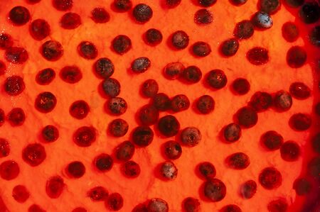 Closeup of homemade cheesecake with bilberries and red jelly