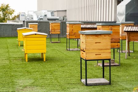 Hives in apiary on the roof of modern building in the downtownの写真素材