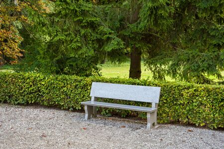 Stone bench in the park on a sunny day