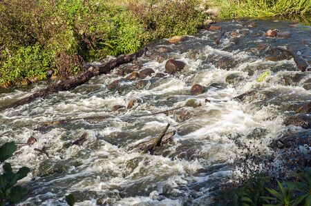 Closeup of river rapids on a sunny day