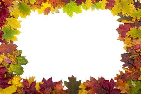 Orange, yellow and green autumn leaves isolated on white background