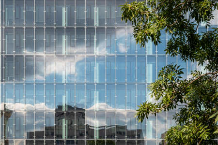 Modern office building with glass facade near city park