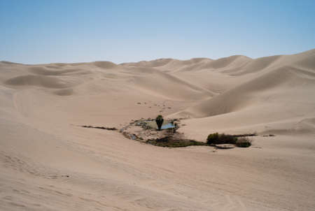 Waterhole in the Desert, Huacachina, Peruの写真素材