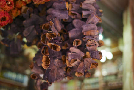 Dried Eggplants Hanging on a String at the Egyptian Bazaar or Spice Bazaar in Istanbul, Turkeyの写真素材