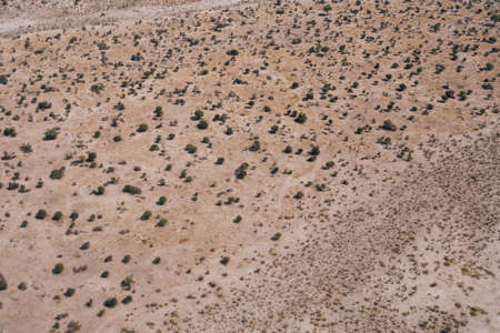 Arid Savanna Aerial Background with Bushes and Trees on an Arid Plain, an Abstract Drone Shot with Copy Spaceの写真素材