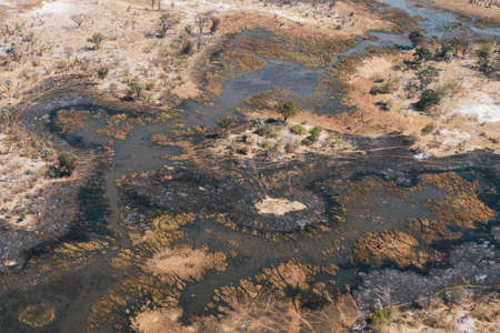 Okavango Delta Aerial in Dry Season with River or Swamp, Trees and Arid Savanna