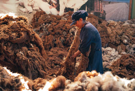 Arequipa, Peru - July 20 2010: Alpaca Wool Production. Woman Worker Sorting Brown Fibers in an...