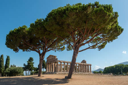 Ancient Greek Temple of Athena or Ceres in Paestum, Italy with Doric Columns and  Olve Treesの写真素材