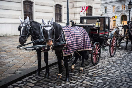 Fiaker Hackney Carriage at Saint Michael Square in Vienna, Austria  on a Cold Winter Dayの写真素材
