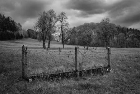 Landscape in Mostviertel with Old Chain-Wire Fence and Trees in Moody and Monochrome Black and Whiteの写真素材