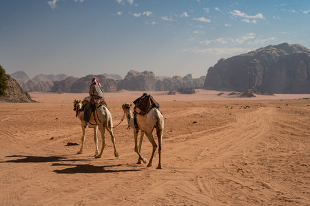 Arab Bedouin Riding a Dromedary Camel in Wadi Rum, Jordanの写真素材