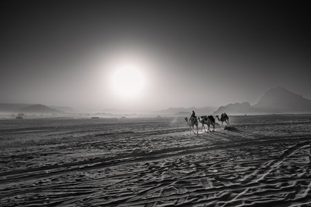 Bedouin riding and leading Camels through Wadi Rum Desert Landscape with Rising Sun in Black and Whiteのeditorial素材