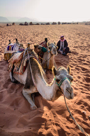 Wadi Rum, Jordan - October 30 2022: Riding Camels and Bedouin Guide in the Desert of Wadi Rum.のeditorial素材
