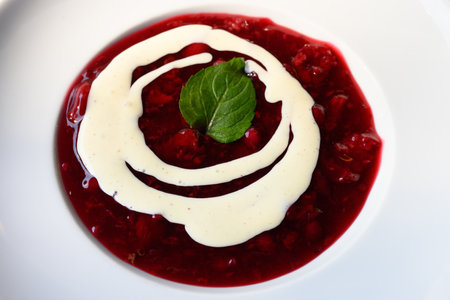 Red Groats Fruit Jelly and Berry Dessert and Vanilla Sauce Hamburg Style or Hamburger Rote Grutze mit Vanillesauceの写真素材