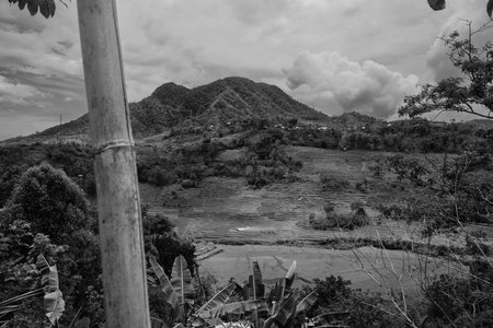 Landscape Scenery with Terraced Rice Fields near Redjang in Flores, Indonesia, in Monochrome Black and Whiteの写真素材