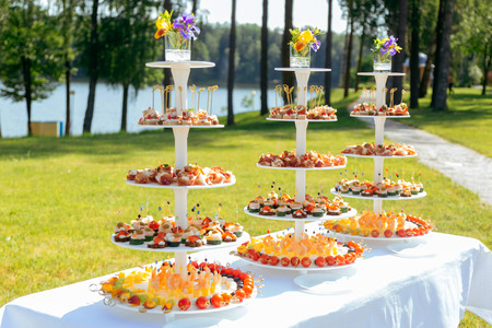 Plates with selection of delicious canapes. Set of holiday assorted appetizersの写真素材