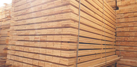 Wood based materials, lumberingの写真素材