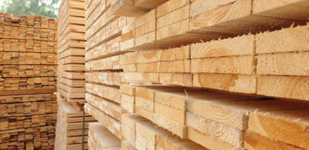 Fresh wooden slabs at the lumber storehouseの写真素材