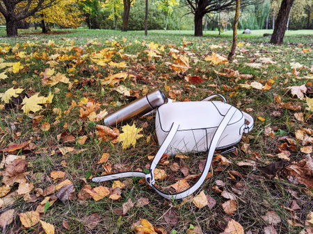 Items for recreation and picnic in the parkの写真素材