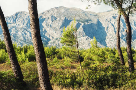 Mountains on seaside of Riviera Makarska in Croatiaの写真素材