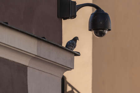  Overhead Surveillance CCTV security camera 360 degreeの写真素材
