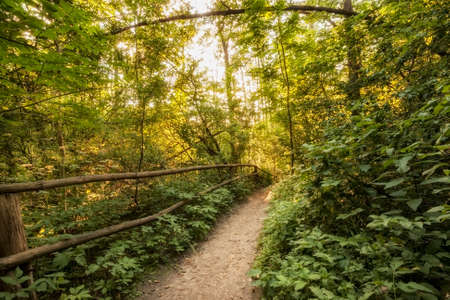 Roztocze (Roztochia) National Park. Tourist path near cascades on Sopot river. Czartowe Pole (Devil's Field) reservation.の写真素材