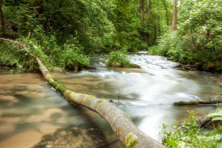 Roztocze (Roztochia) National Park. Cascades on Sopot river. Czartowe Pole (Devil's Field) reservation.の写真素材